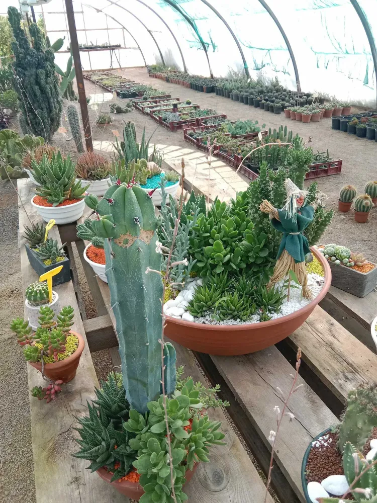 pepiniere-natura-paysage-4