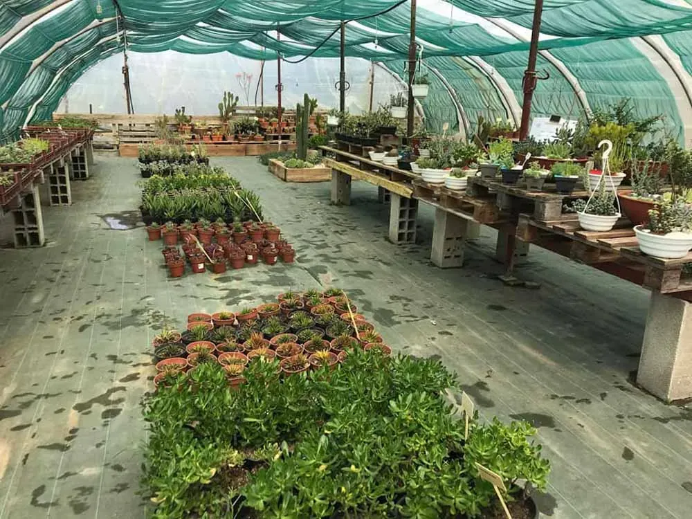 pepiniere-natura-paysage-14