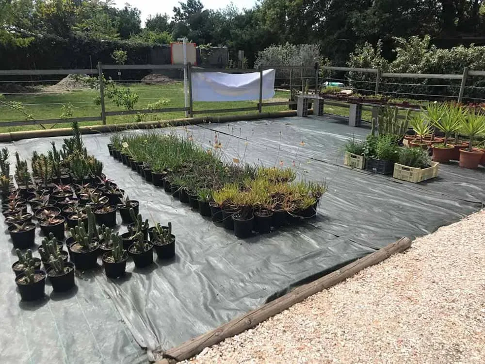 pepiniere-natura-paysage-13