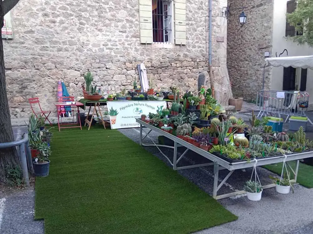 pepiniere-natura-paysage-12