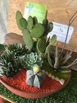 358738695_287174003868422_7602464174048176291_n